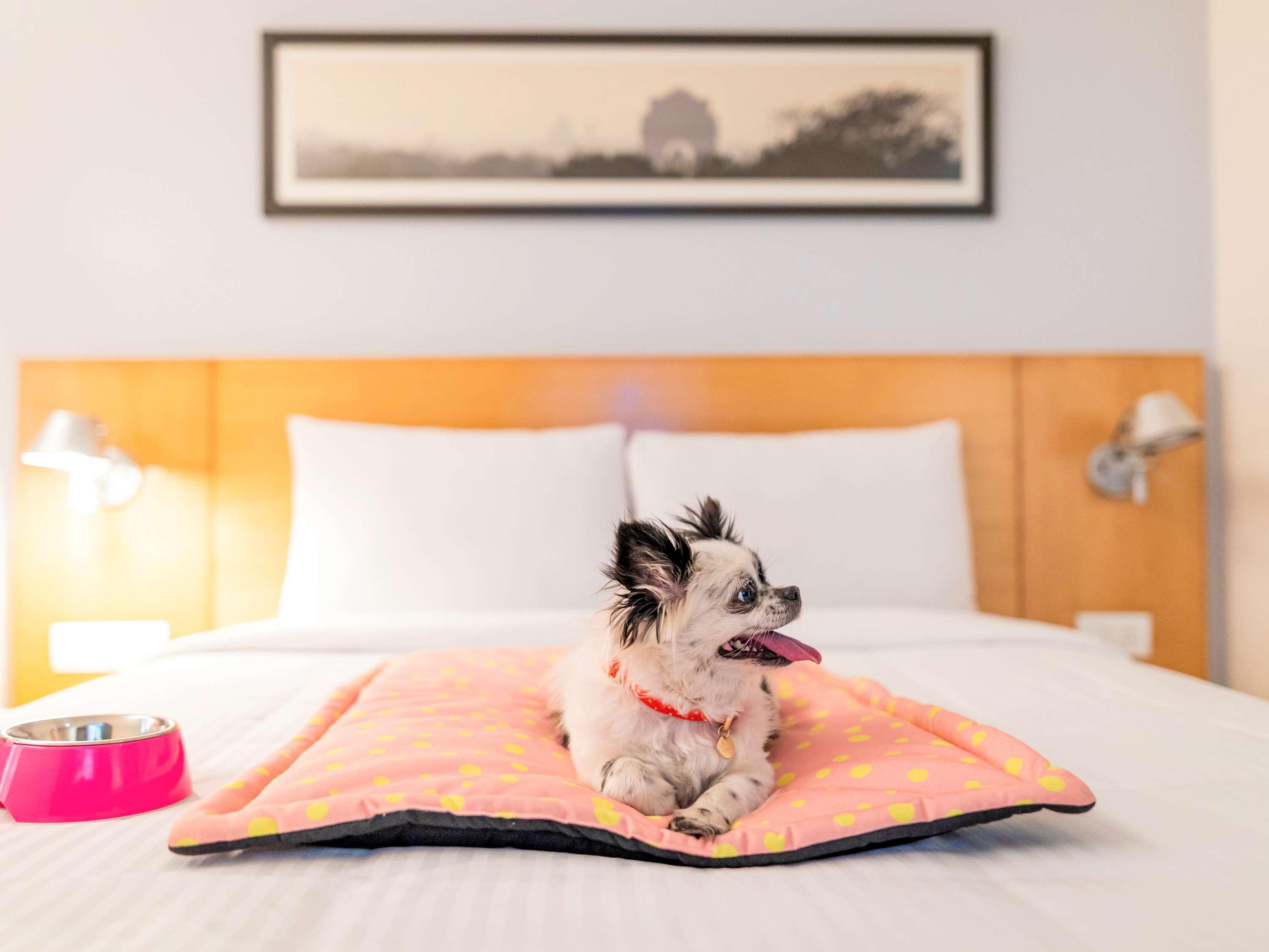 Ibis Kochi City Centre - An Accor Brand מראה חיצוני תמונה