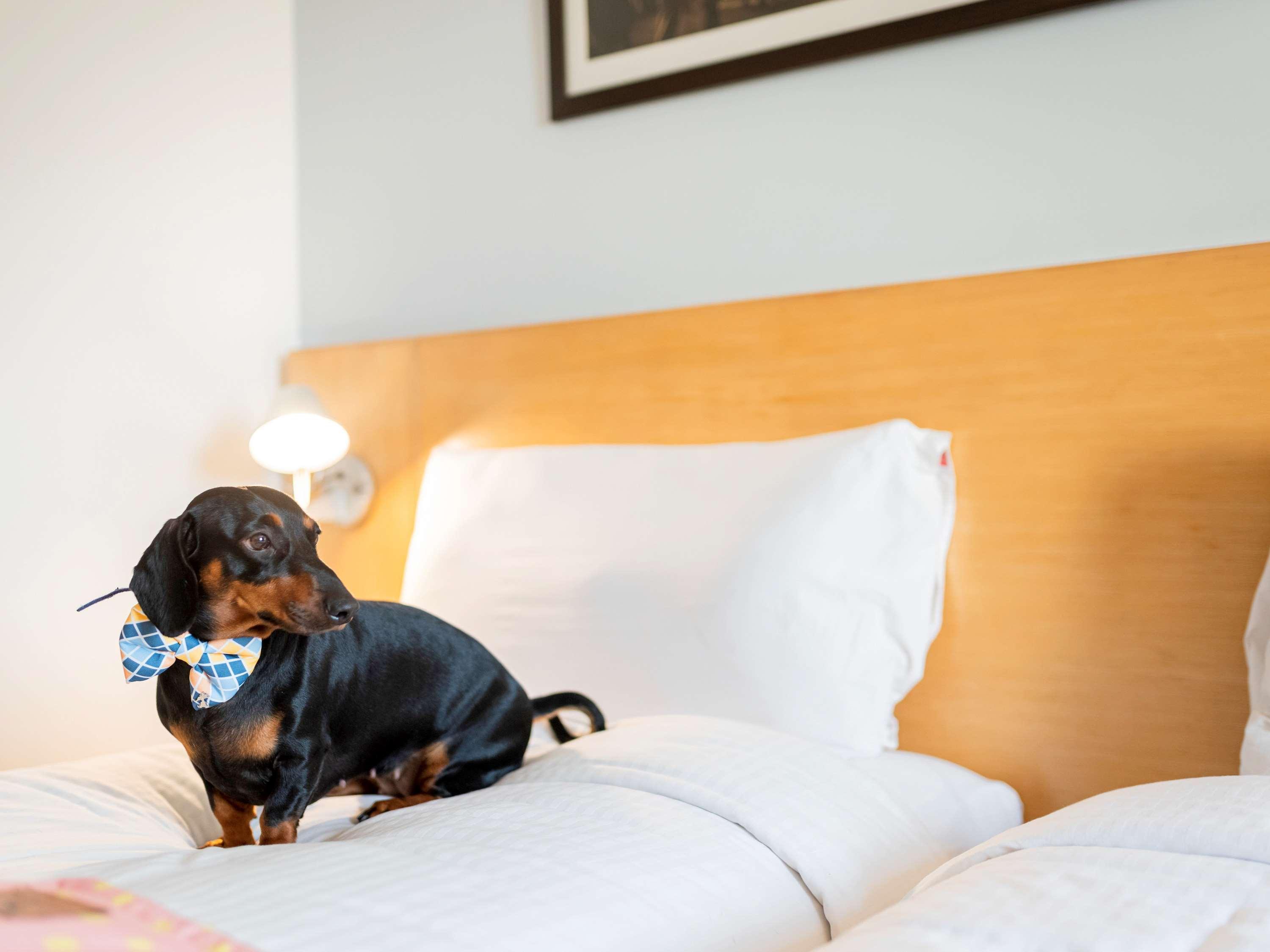 Ibis Kochi City Centre - An Accor Brand מראה חיצוני תמונה